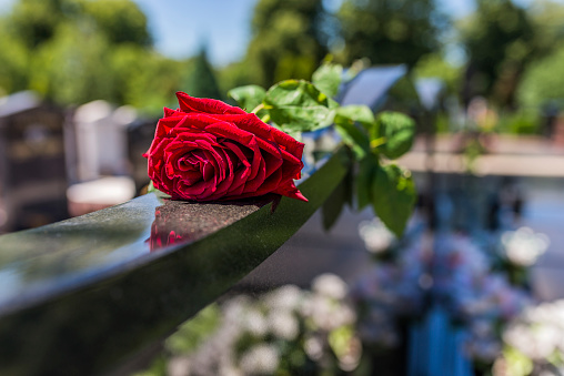 Gravestone with withered sad red rose during summer day/ Tombstone on graveyard / Sorrow about loss of beloved ones